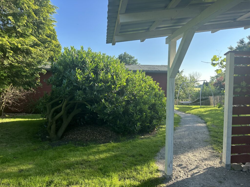 Image21