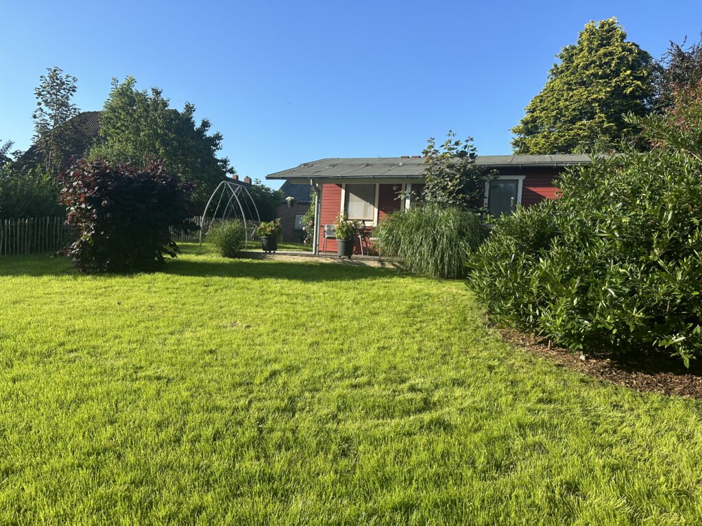 Image23